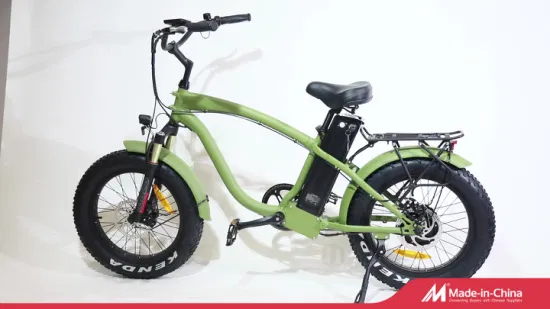 500W/750W Bafun Bafang Motor Fat Tire Mountain Wholesale Electric Bicycle