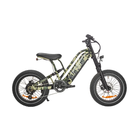 48V/20ah Aluminum Frame Ebike Road Hybrid City Electric Mountain Bike Bicycle